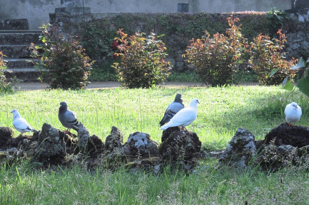 La Blanchisserie Le Puy-Saint-Bonnet Εξωτερικό φωτογραφία