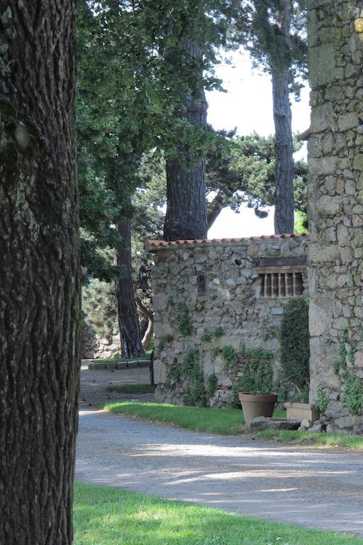 La Blanchisserie Le Puy-Saint-Bonnet Εξωτερικό φωτογραφία